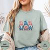 4th of July Gnomes Tees - Design & Print Hub