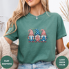 4th of July Gnomes Tees - Design & Print Hub
