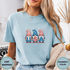 4th of July Gnomes Tees - Design & Print Hub
