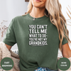 You Can't Tell Me What To Do You're Not My Grandkids Tees - Design & Print Hub