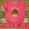 Unapologetically Public School Advocate Shirt - Design & Print Hub